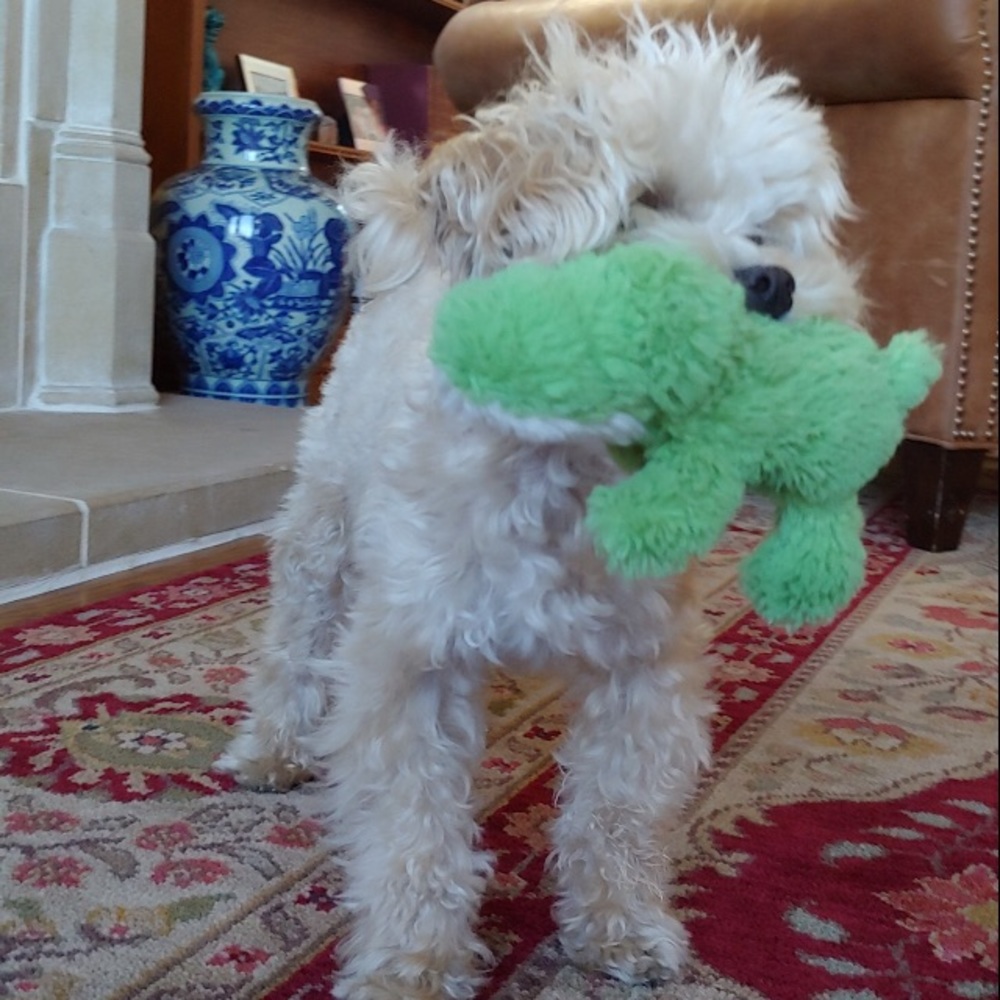 Meet your Posher, Katherine